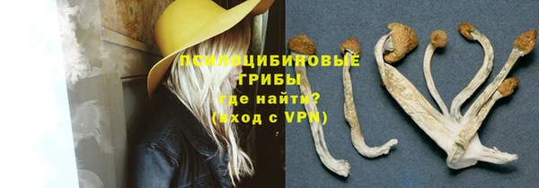 apvp Зерноград