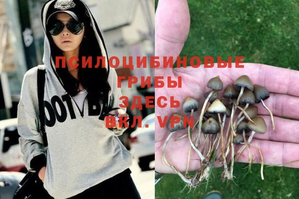 apvp Зерноград