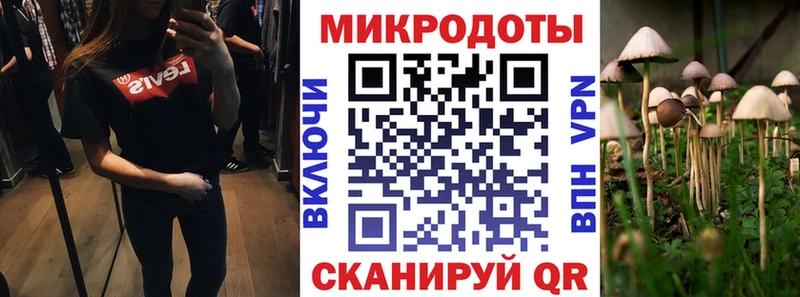 где купить наркоту  Афипский  Псилоцибиновые грибы Psilocybine cubensis 